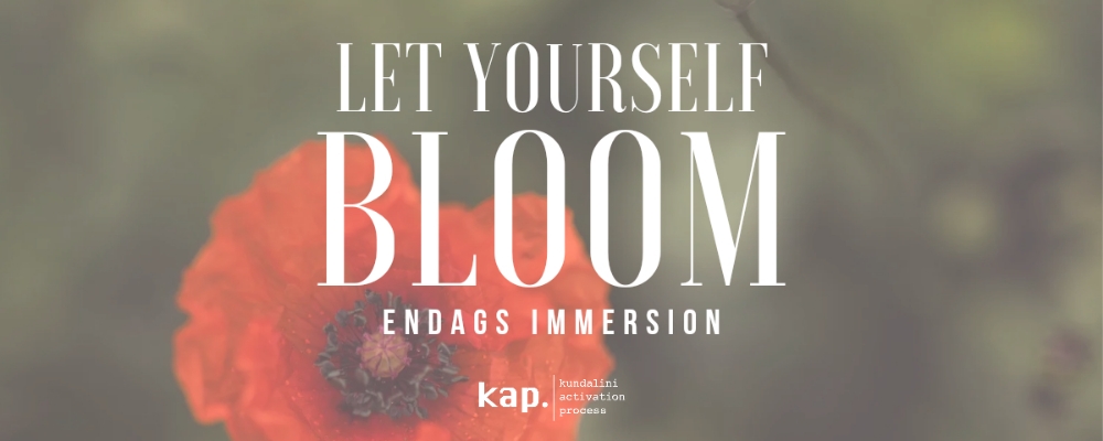 Let yourself Bloom - endagsretreat