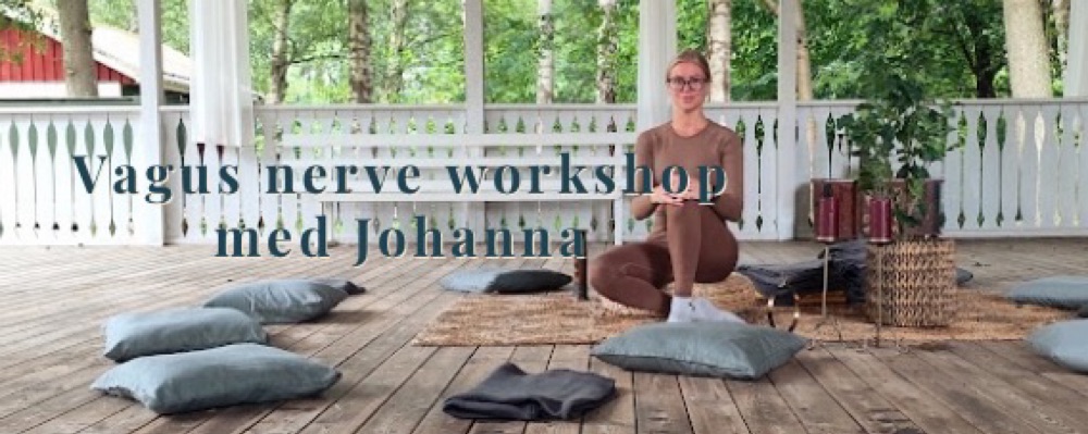 Vagal nerve workshop med Johanna