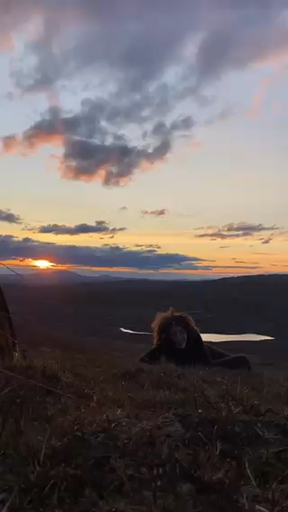 Miniretreat: Restore with Yoga & Meditation