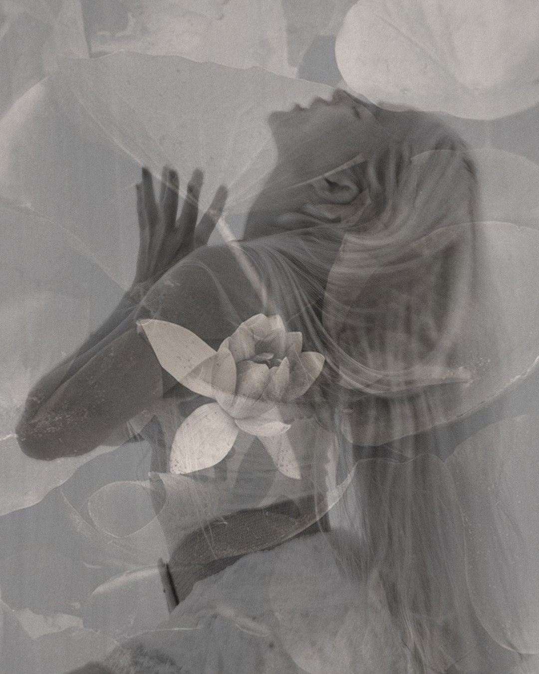 Weekly: Source Transmission x G:ro Studio