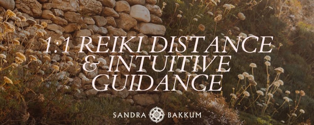 1:1 Reiki Distance & Intuitive Guidance