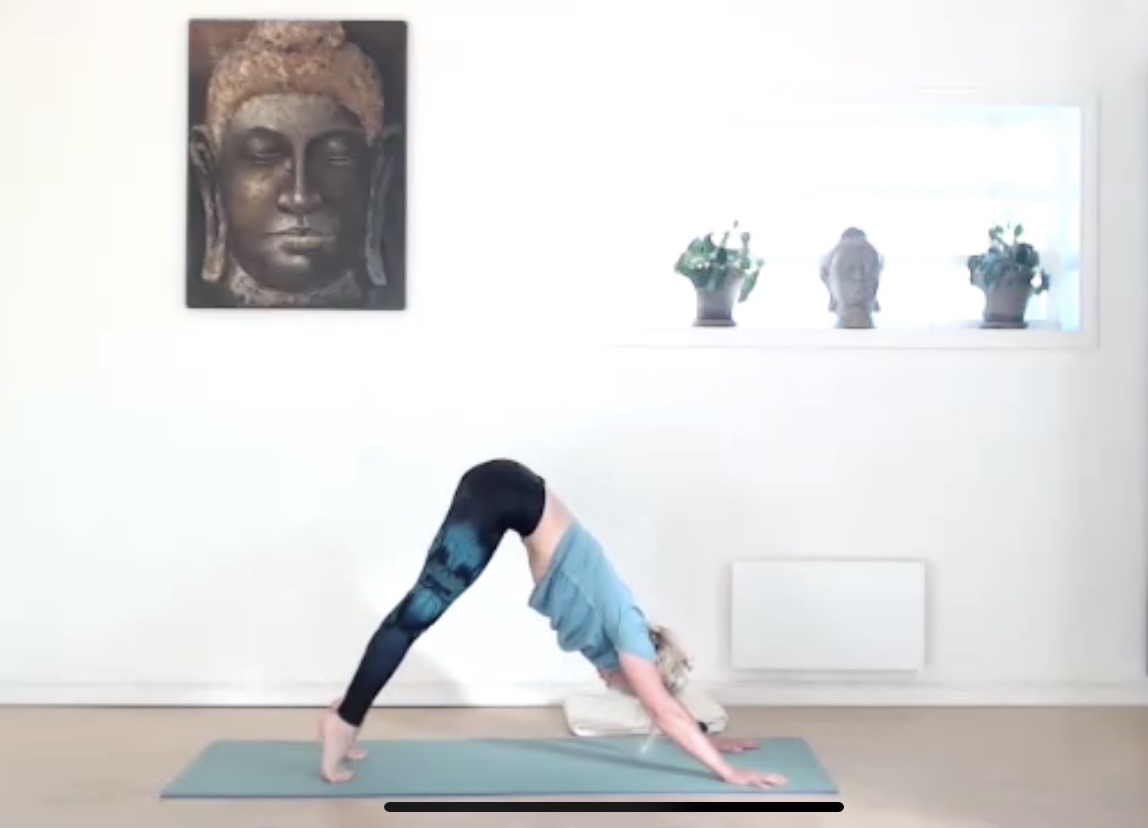 Kurs Vinyasa 60 min 6 ggr