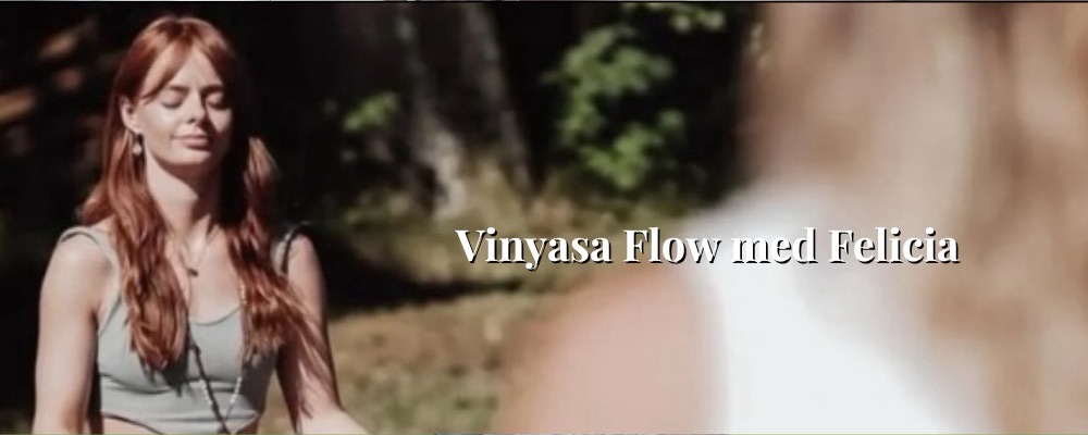 Vinyasa Flow med Felicia (eng)
