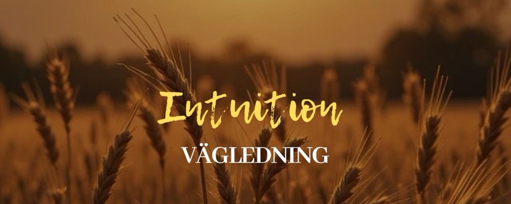Intuition vägledning övningspris