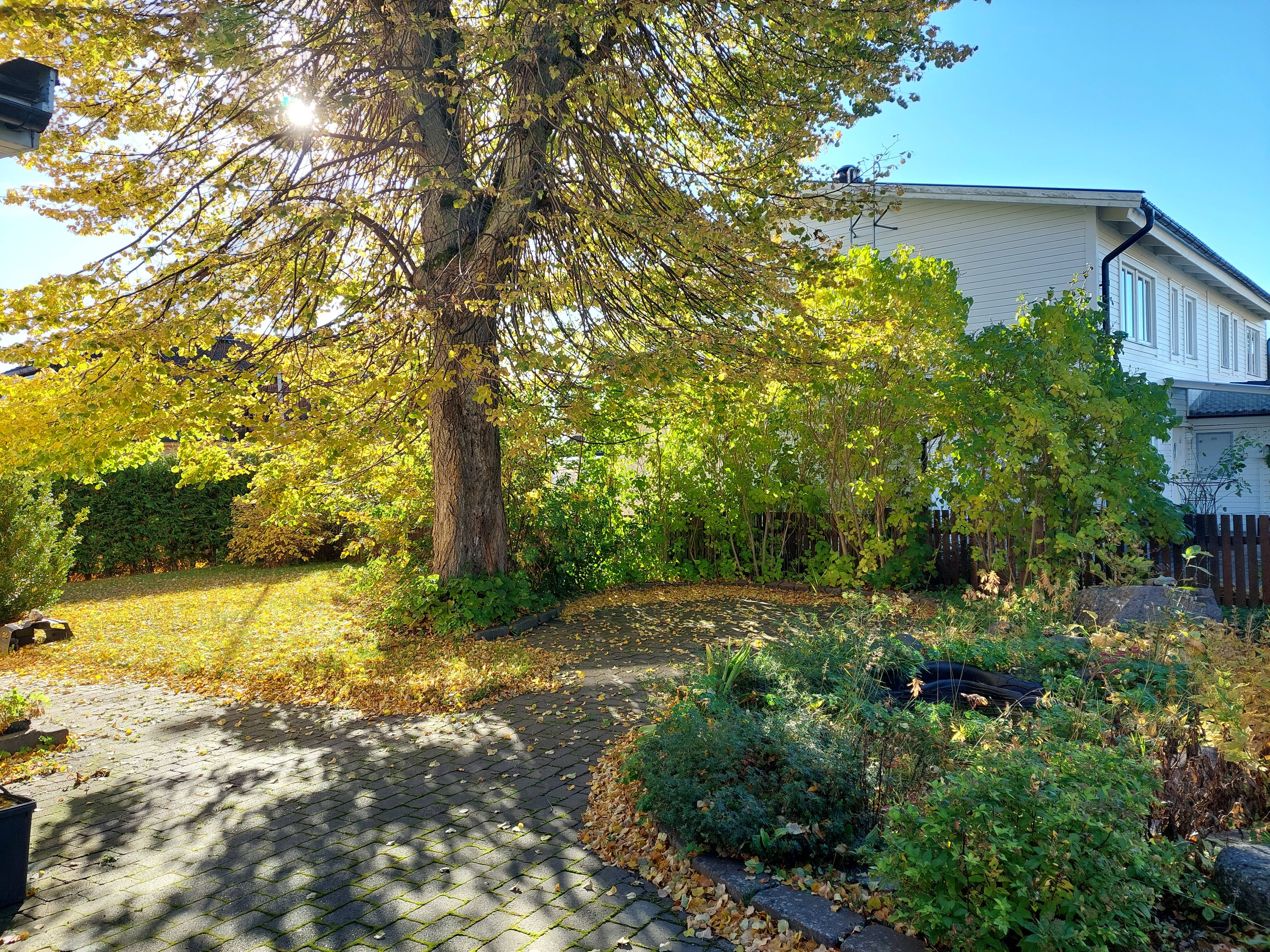 Temaklass: Kristallklart Medvetande