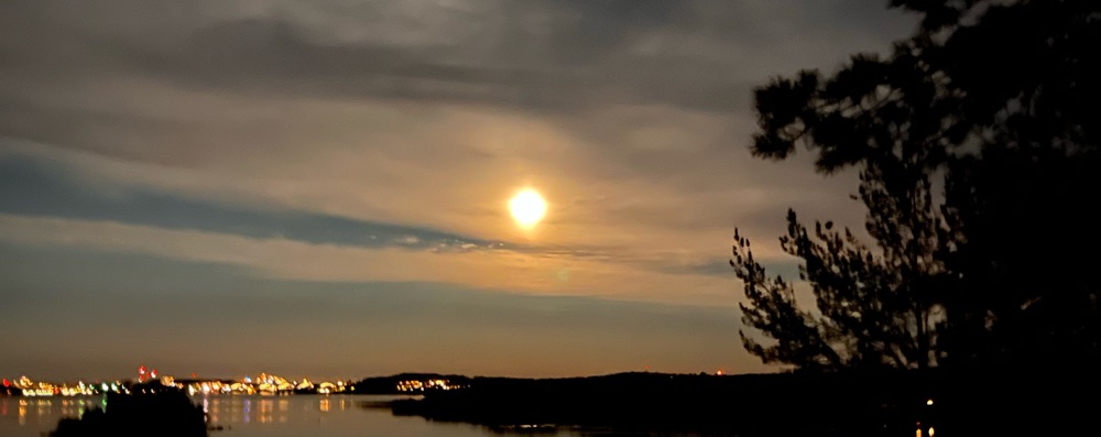 LIFE FORCE ACTIVATION – FULL MOON EDITION