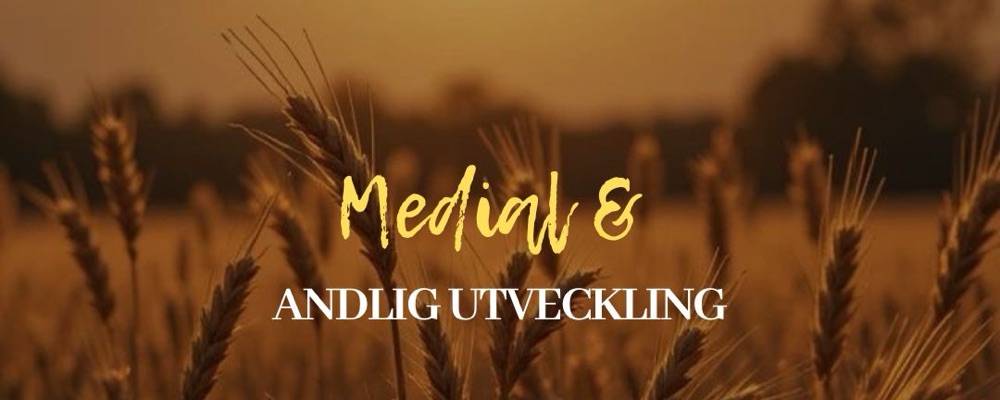 Medial & Andlig Utveckling övningspris