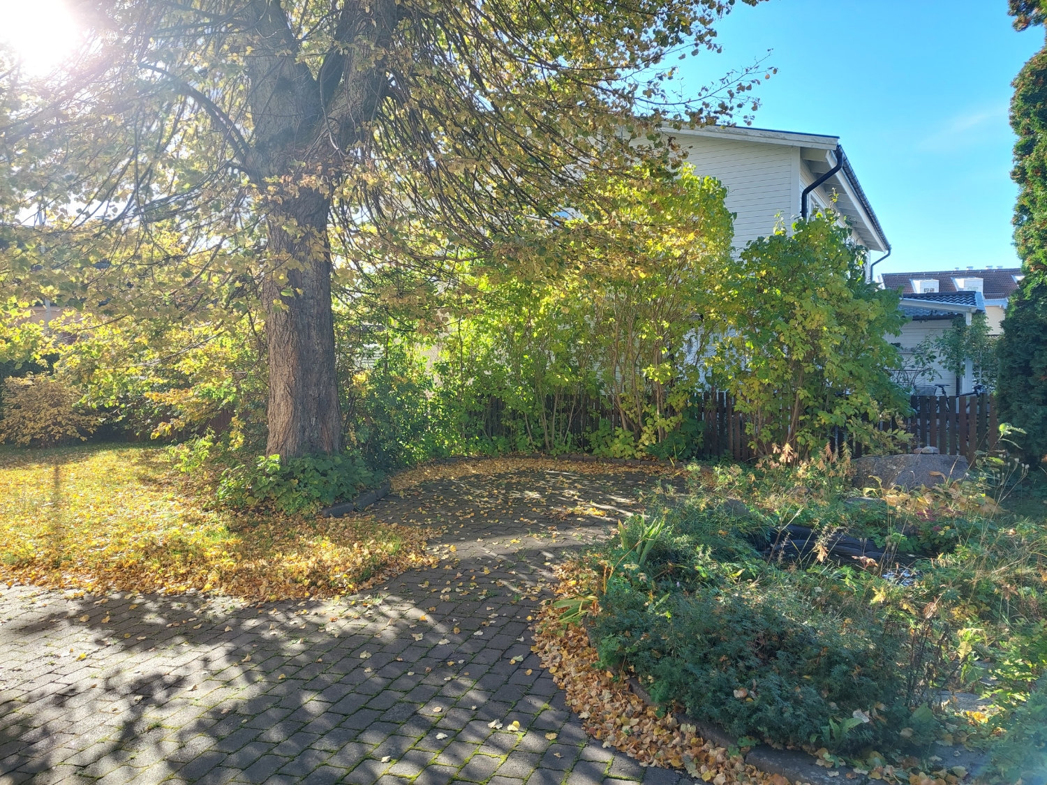 Chakraflödesmassage - elevbehandling