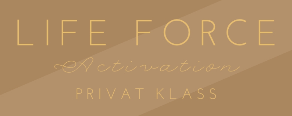 Privat Life Force Activation