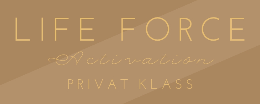 Life Force Activation, privat klass, 60 minuter