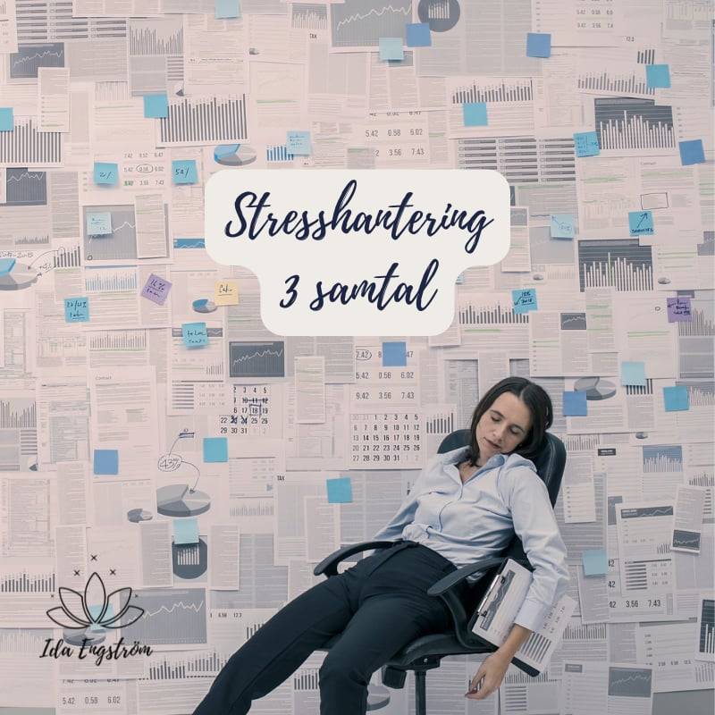 Stresshantering x 3