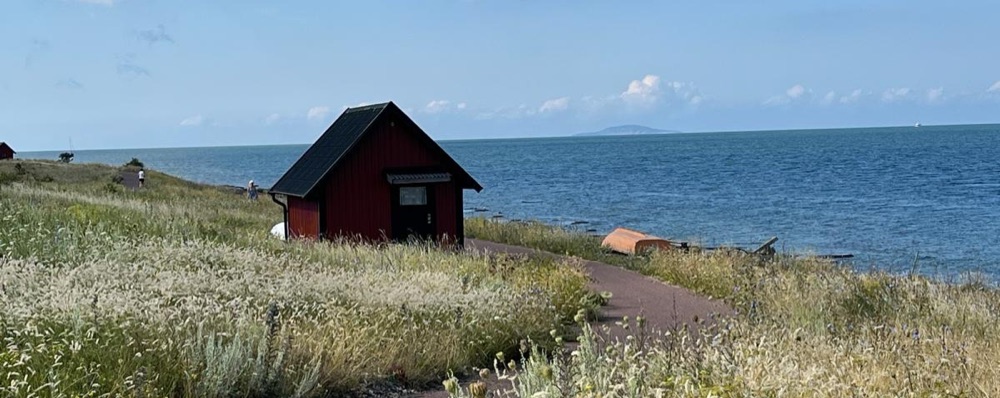 Life force activation (LFA) med Suz på Öland
