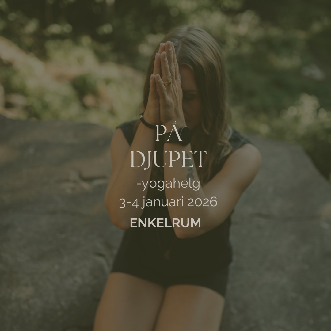 PÅ DJUPET- yogahelg Enkelrum SUPER EARLY BIRD -》30/9