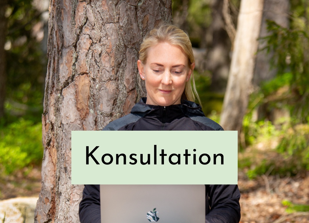 Konsultation