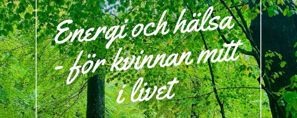Energi och Hälsa pop up klass i Svaneholm