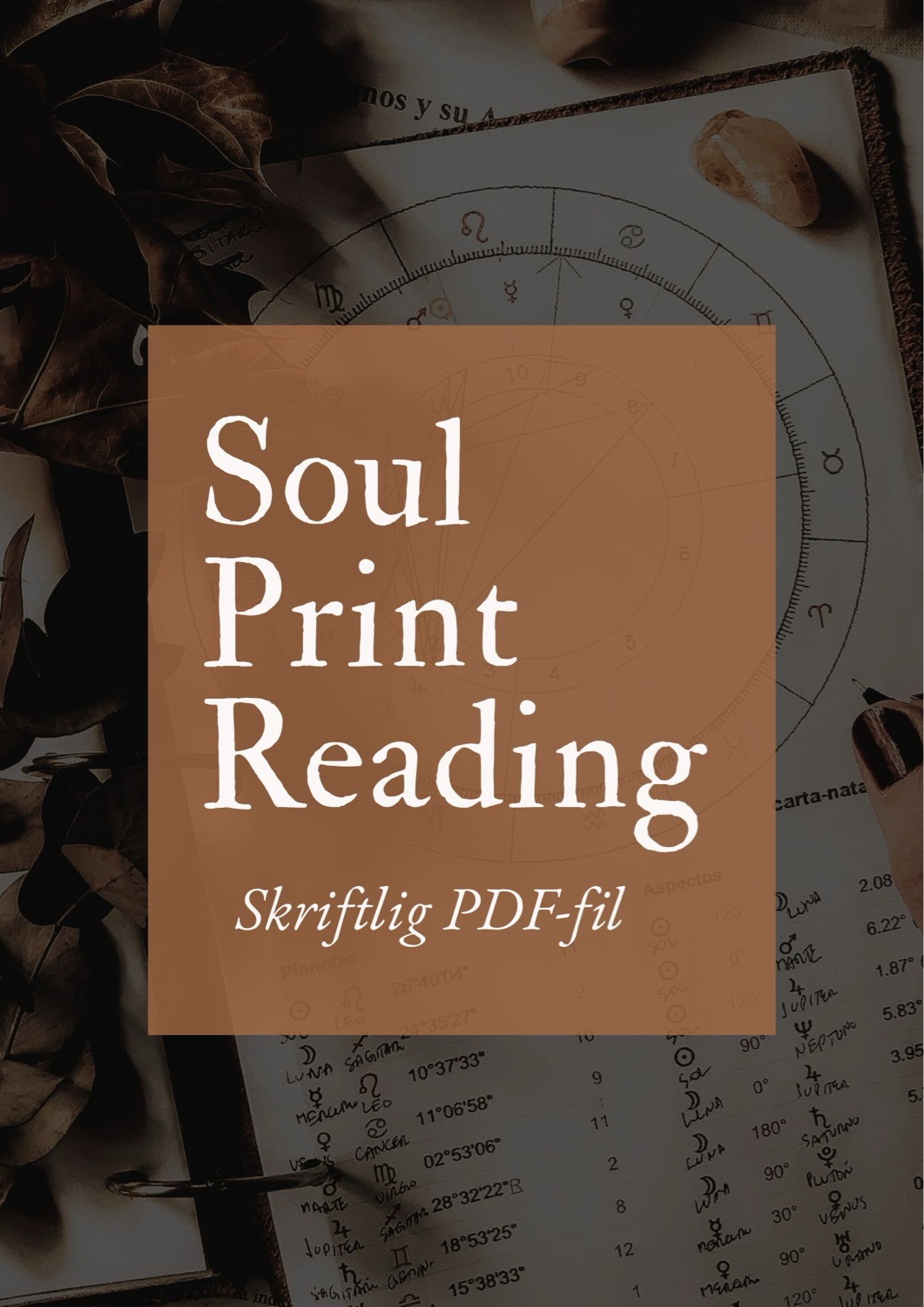 Soul Print Reading (stor skriftlig PDF)