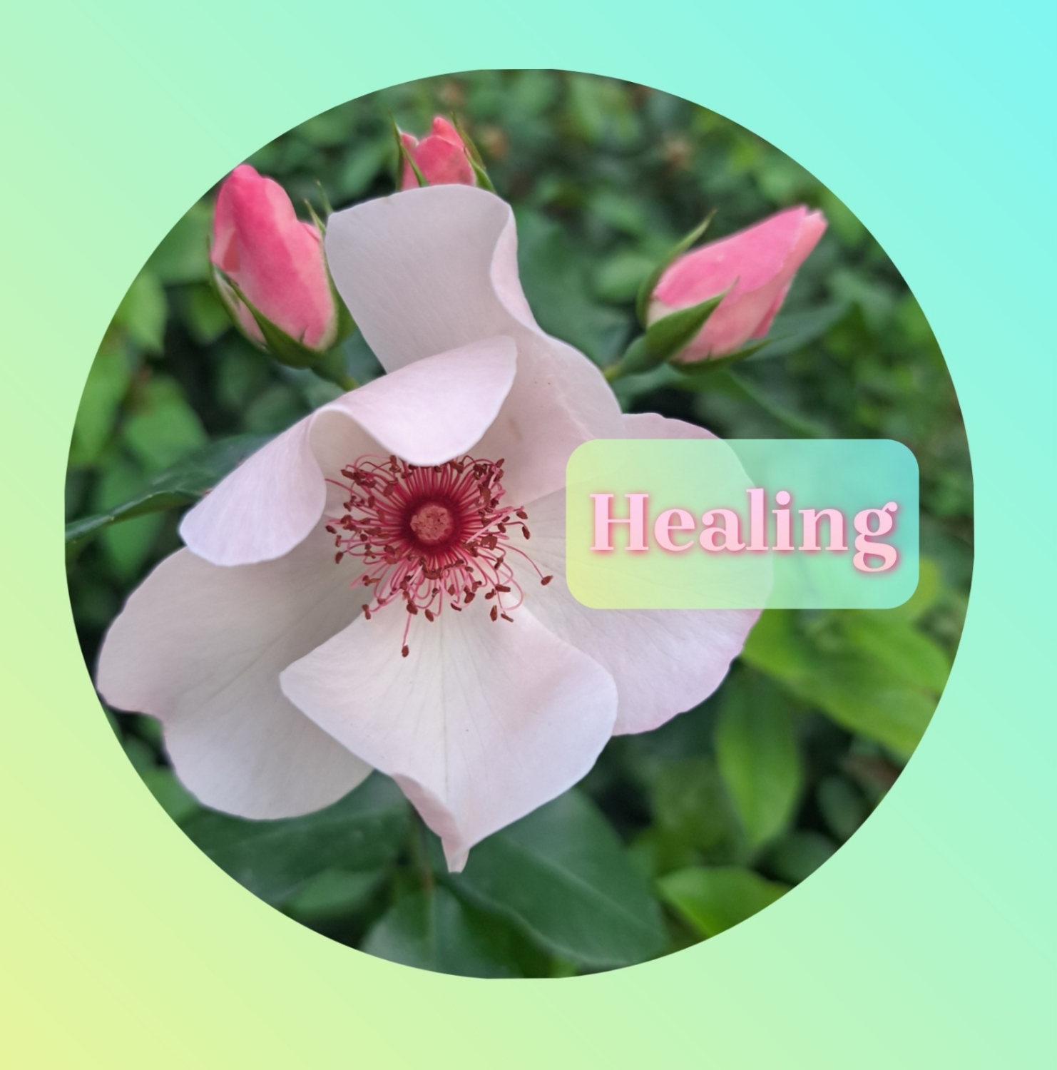 Healing