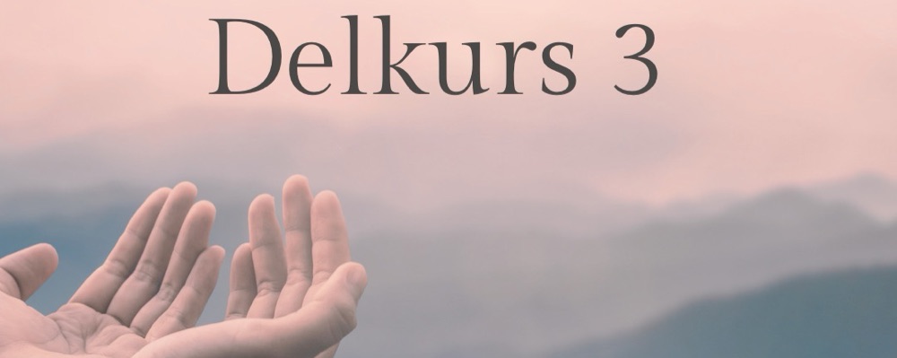 Mediumutbildning delkurs 3