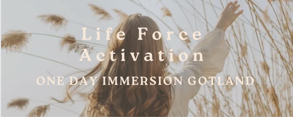 Life Force Activation ~ One day Immersion