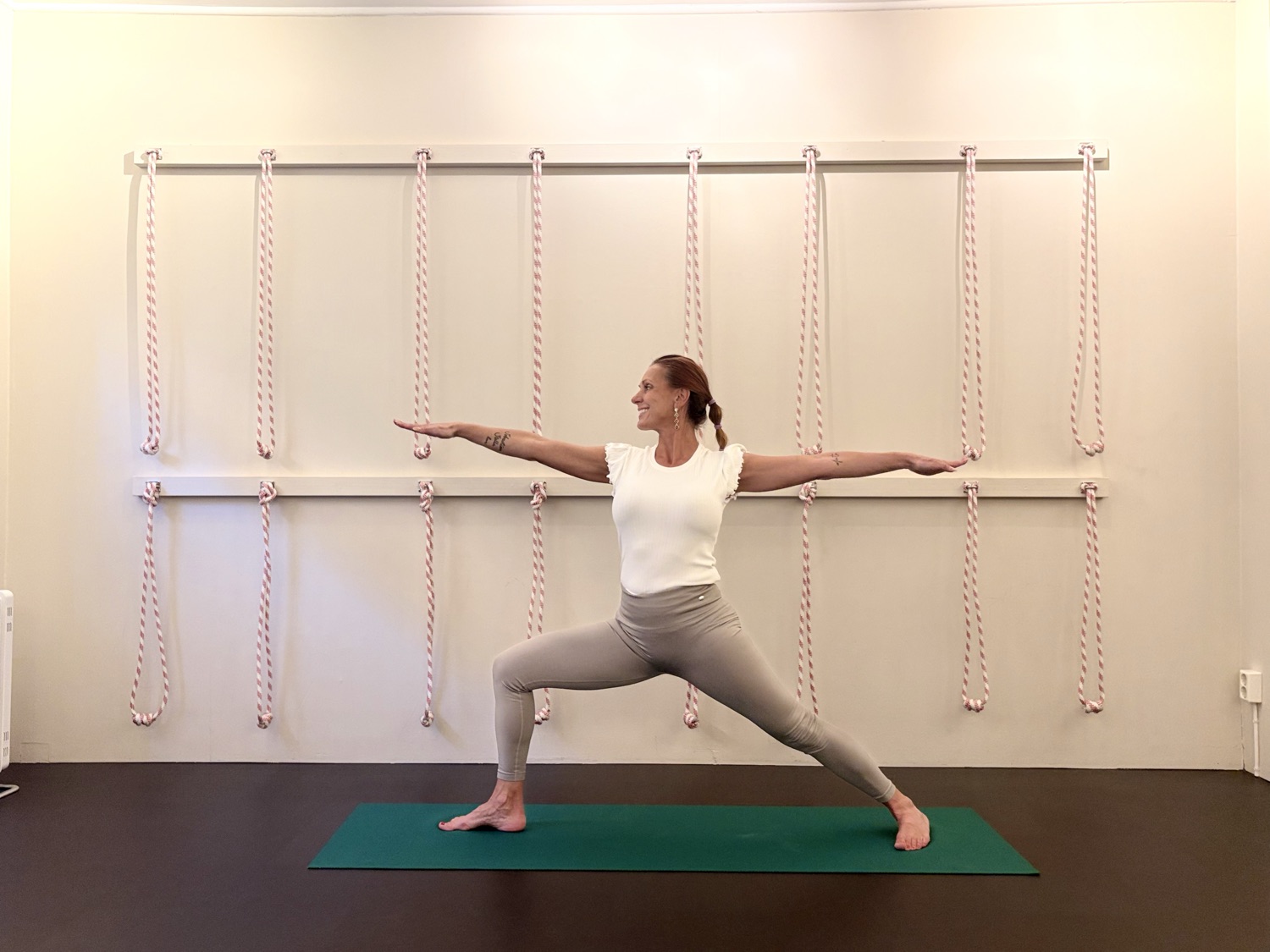 Iyengaryoga