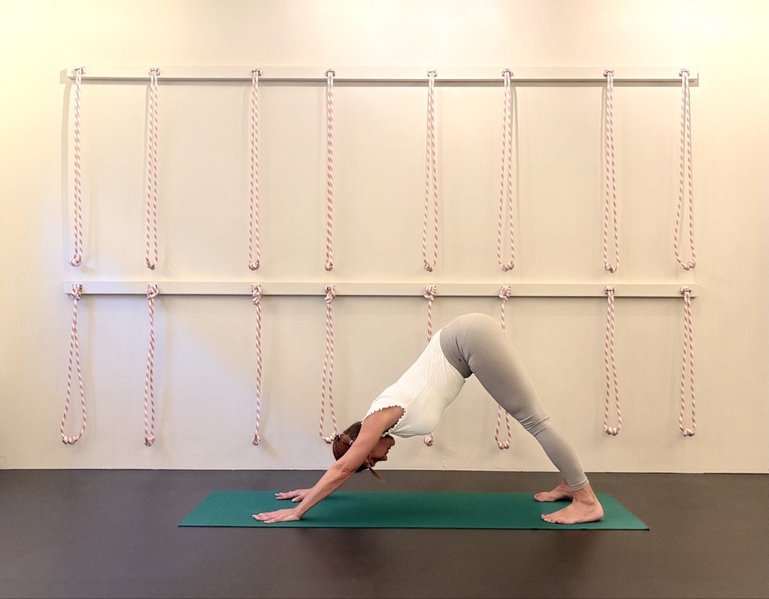 Iyengaryoga