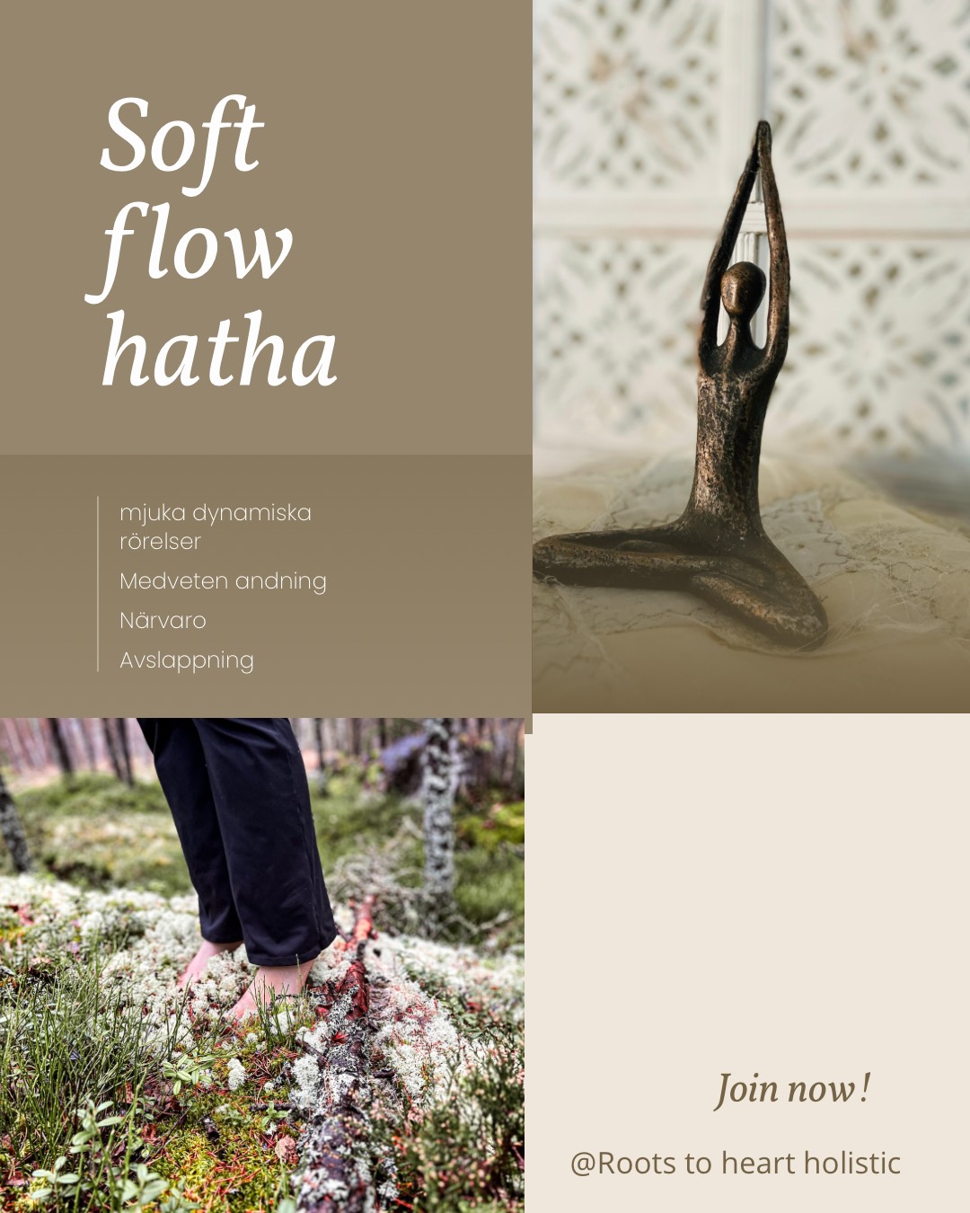 Drop in Soft Flow Hatha