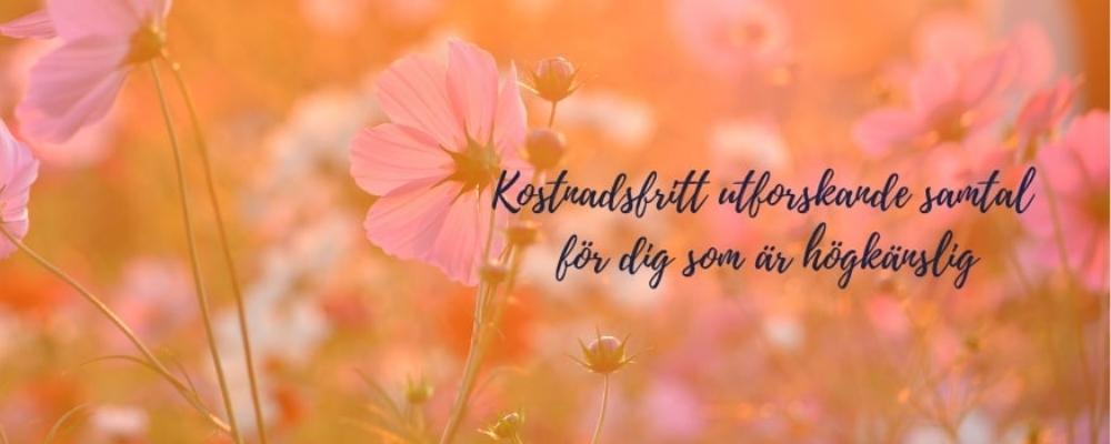 Kostnadsfritt utforskande samtal 30 min