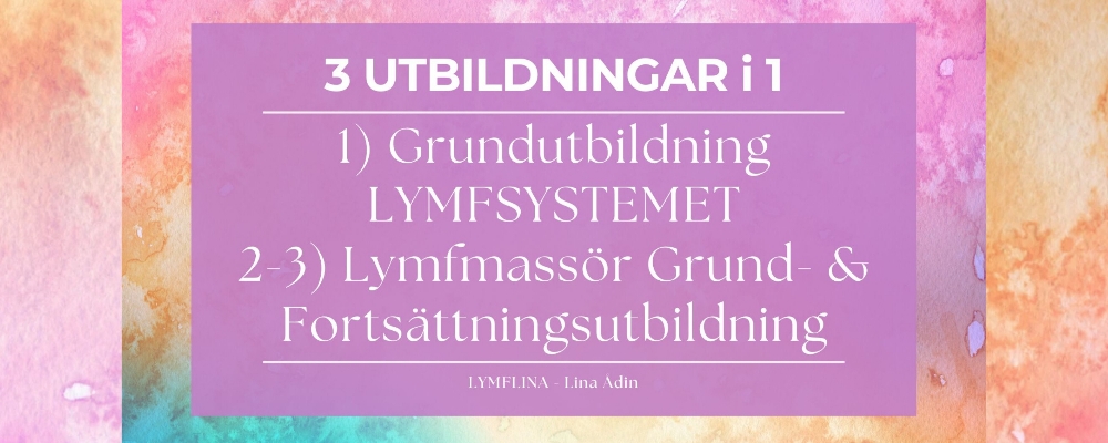 FULLBOKAD! Yrkesutbildning Lymfmassör + utb. Lymfsystemet