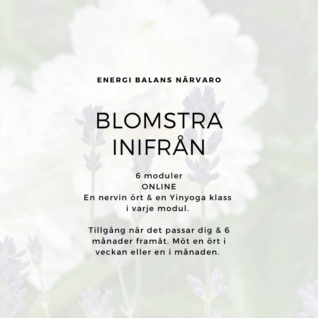 Blomstra inifrån