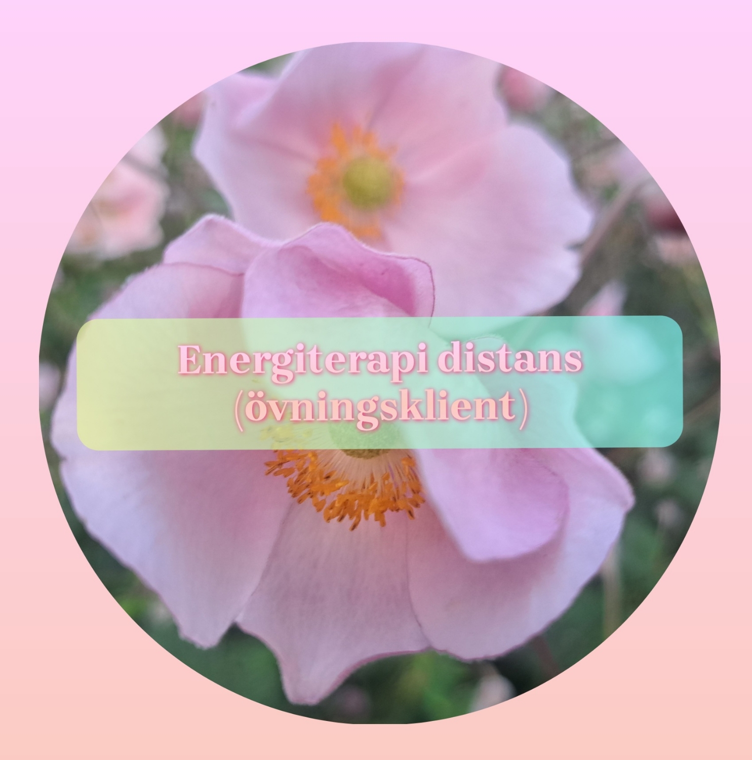 Energiterapi övningsklient distans