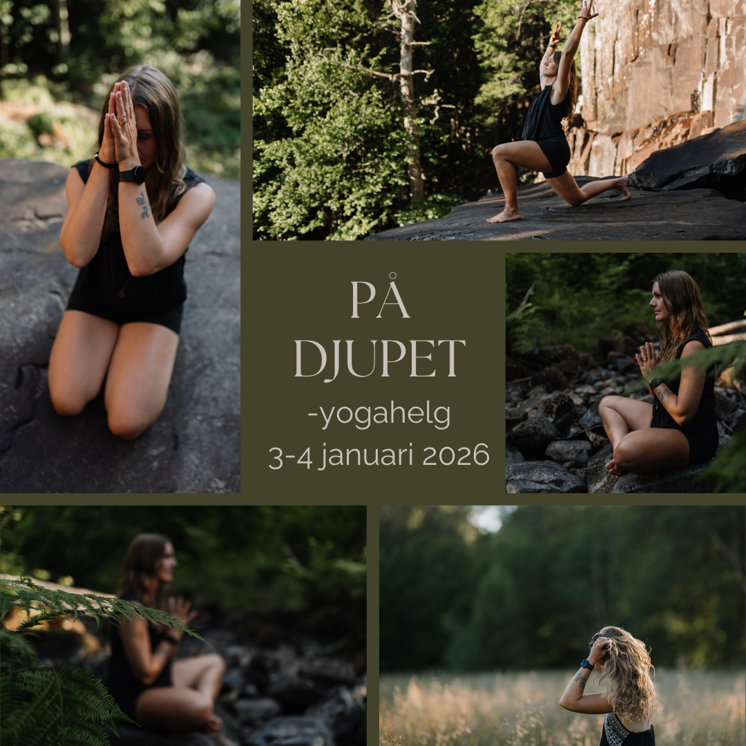 PÅ DJUPET- yogahelg Del i Dubbelrum SUPER EARLY BIRD-》30/9