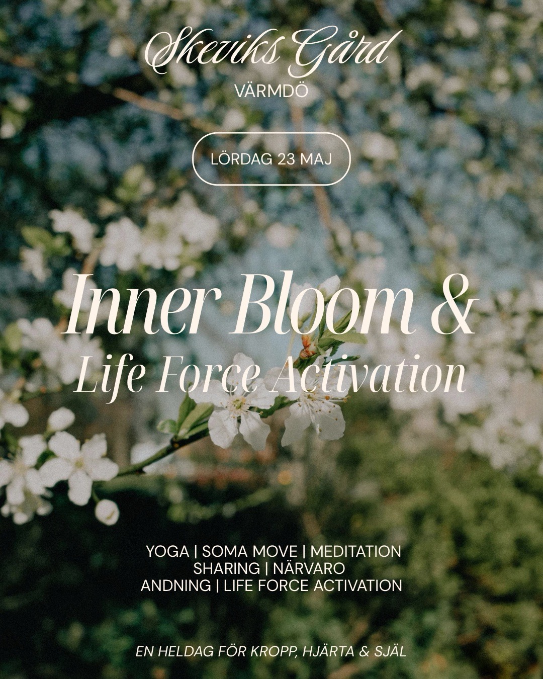 Inner Bloom & Life Force Activation