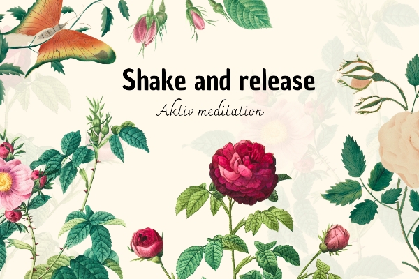 Shake and release - aktiv meditation