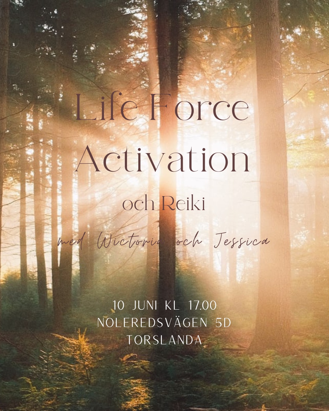Life Force Activation med Reiki