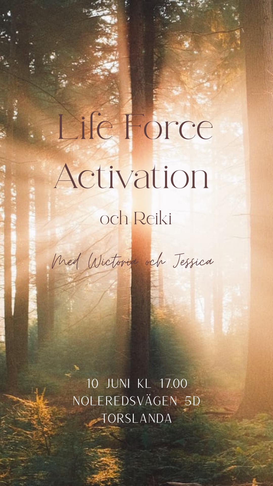 Life Force Activation med Reiki