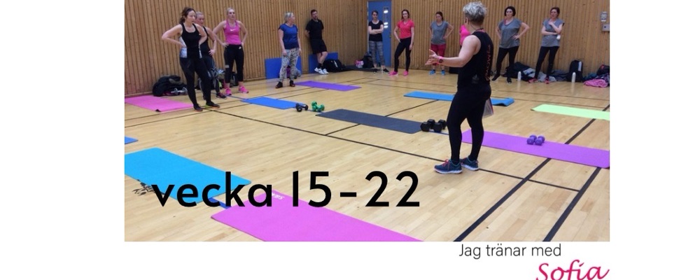 Styrka och Kondition v 15-22