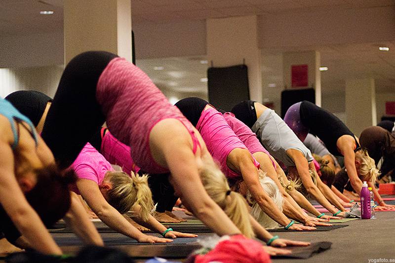 Kurs: Global Yoga 75 min - 10 ggr