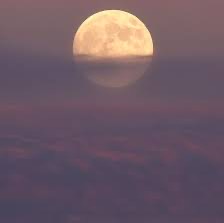 Reiki Session Online