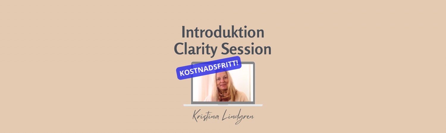 Samtal introduktion 30 min