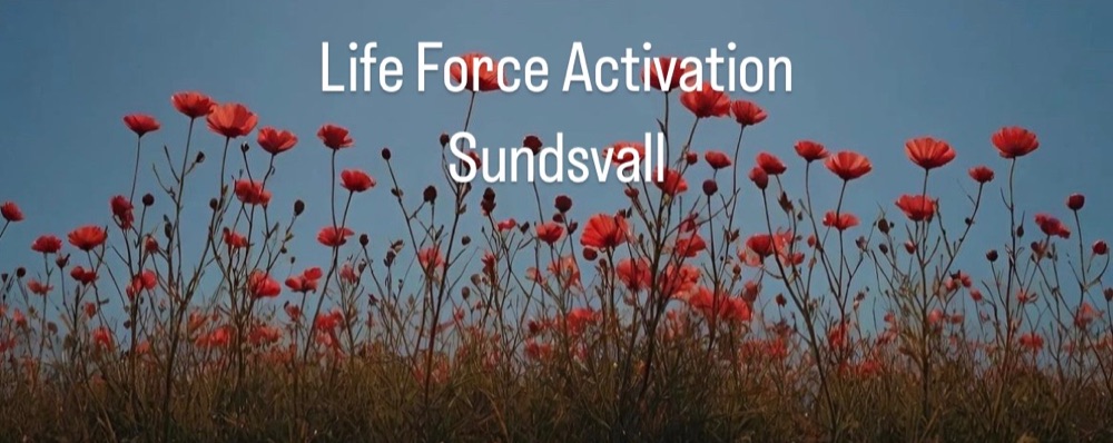 Life Force Activation 6 Okt kl 18.00