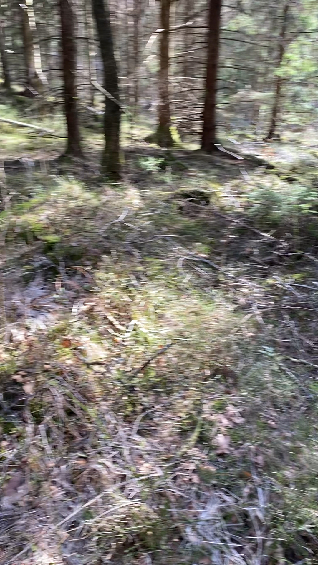 GongYogaRetreat Skog&Sjö Adventure