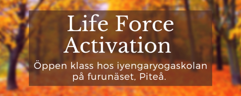 Life Force Activation - öppen klass