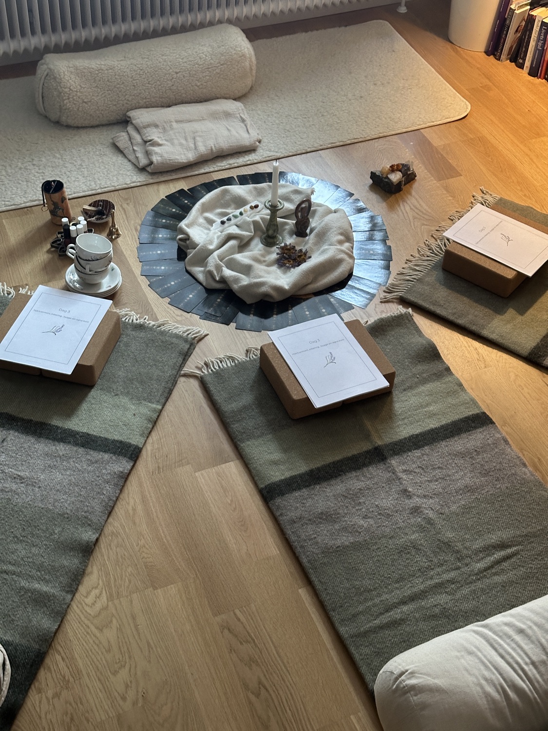 Reiki Shinpiden