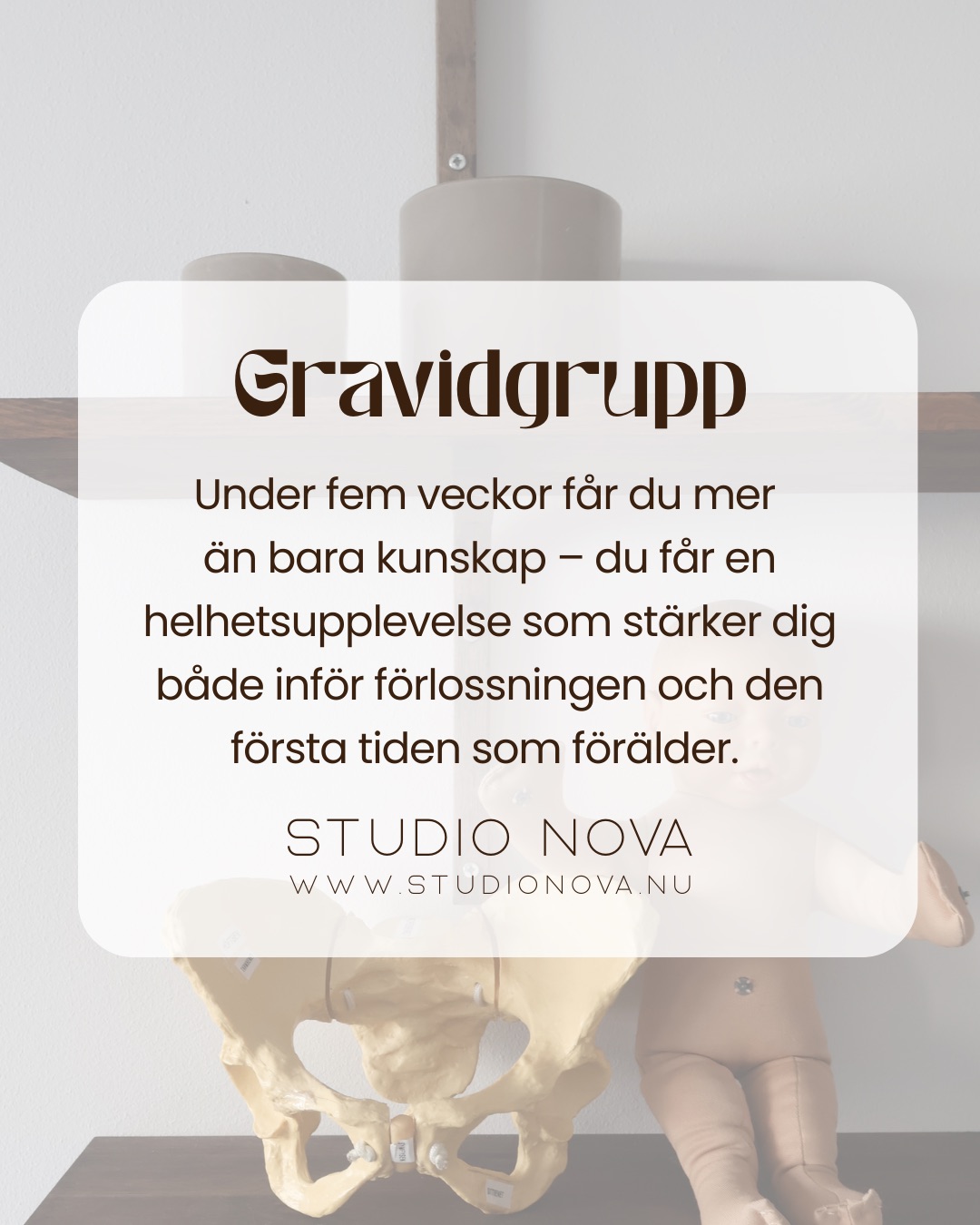 Gravidgrupp