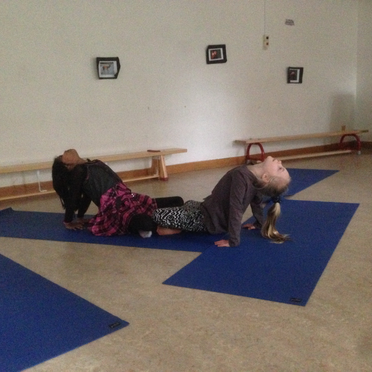 Schneiderly_yoga