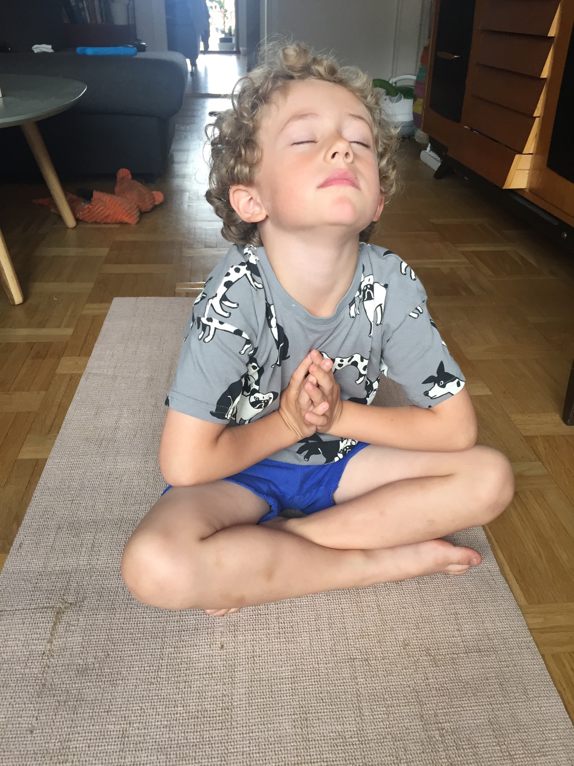 Schneiderly_yoga