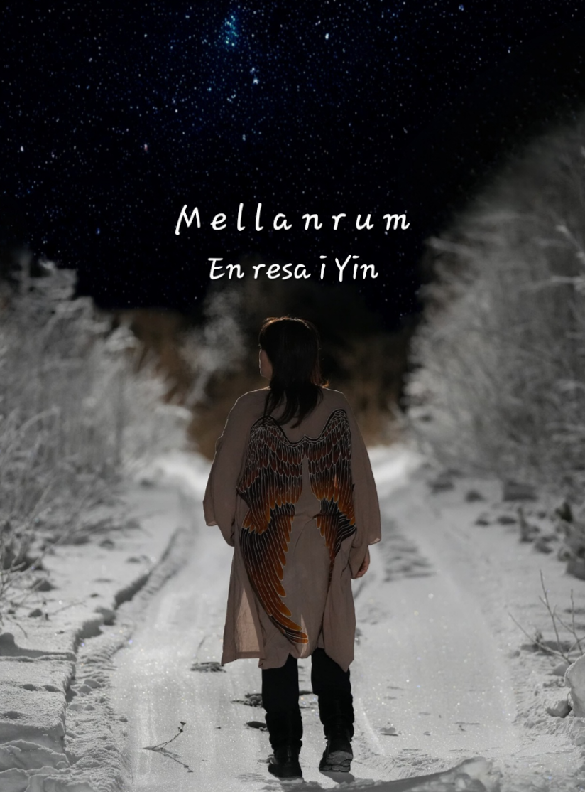 Mellanrum - En resa i Yin