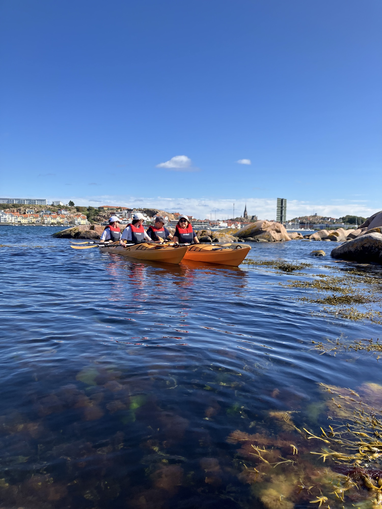 Guidad kajaktur till Stora Kornö