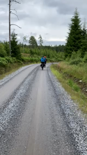 Cykelutflykt på Kynnefjäll - ebike/gravel/hybrid