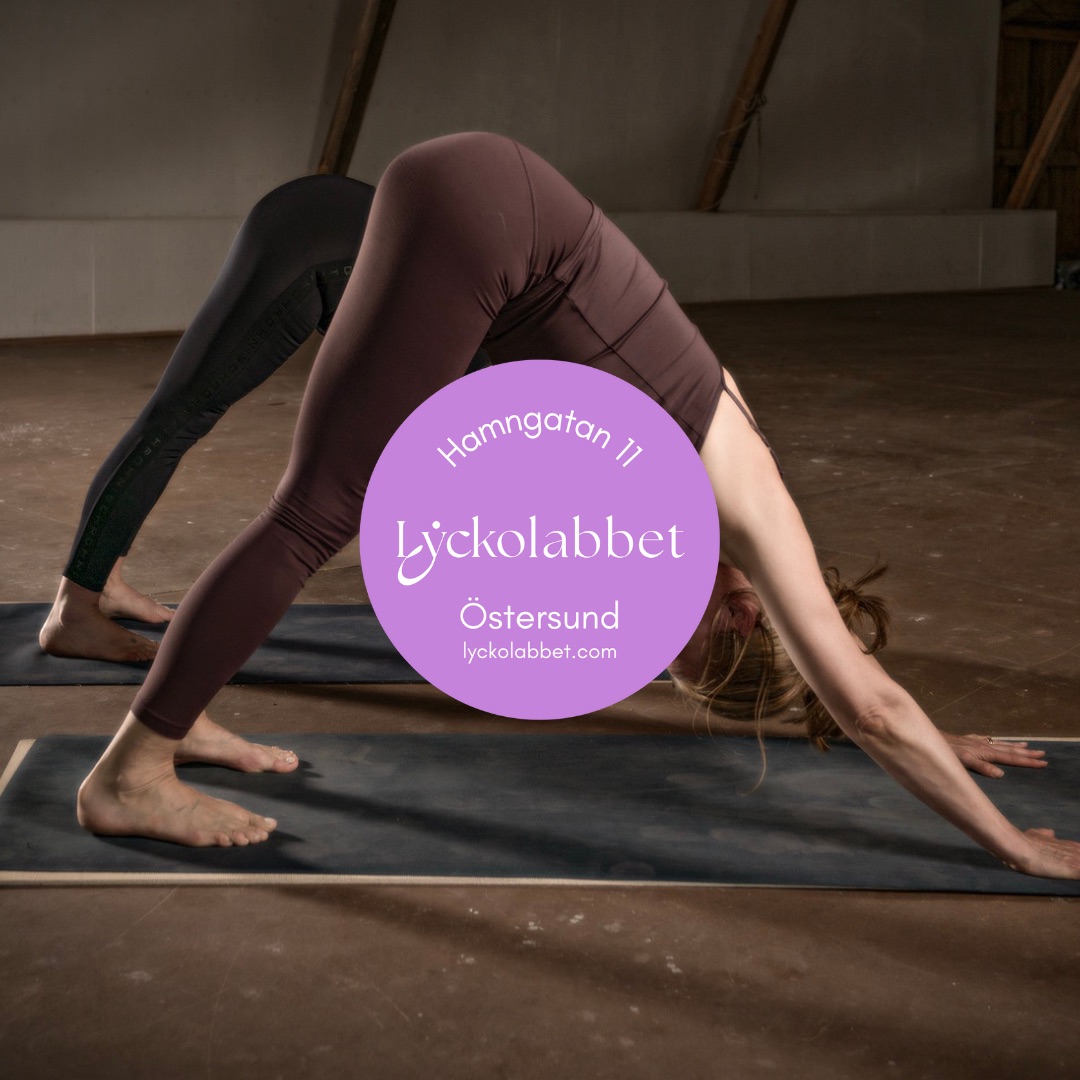 Ashtanga Yoga Grund